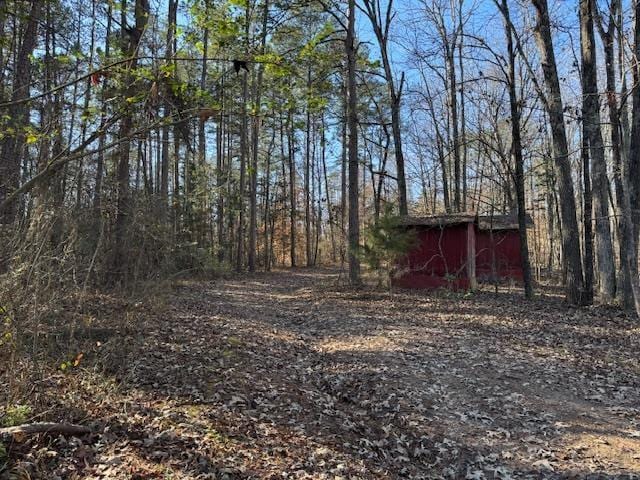 view of yard with an outbuilding