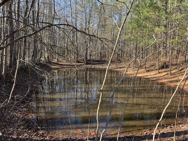 view of local wilderness with a water view