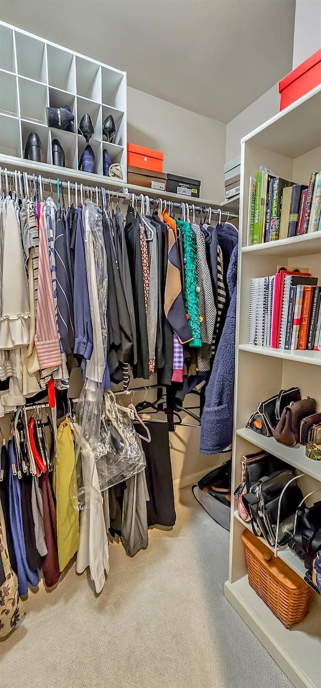 spacious closet featuring carpet