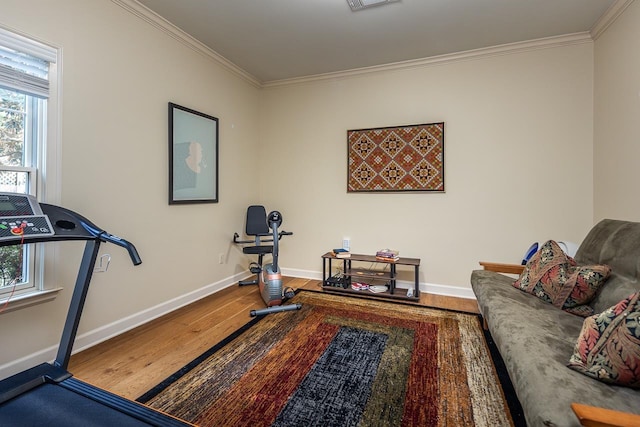 workout area featuring crown molding and hardwood / wood-style flooring