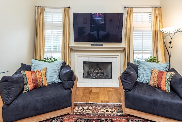 living room featuring wood-type flooring and a fireplace