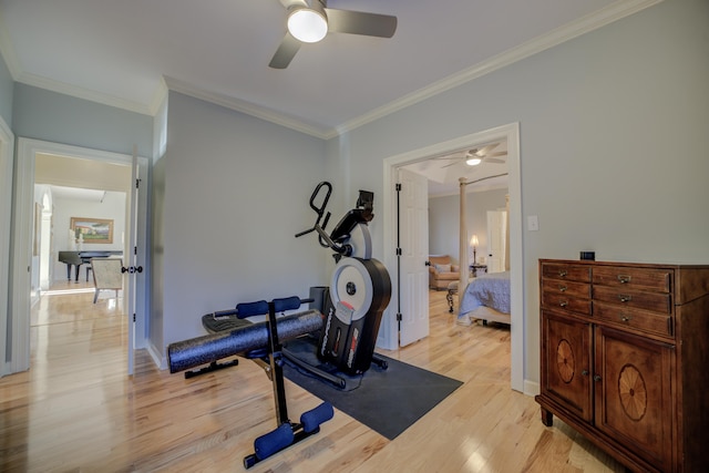 exercise room with light hardwood / wood-style floors, ceiling fan, and ornamental molding