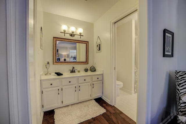 bathroom with vanity, toilet, and wood-type flooring