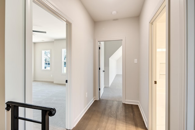 hallway with wood-type flooring