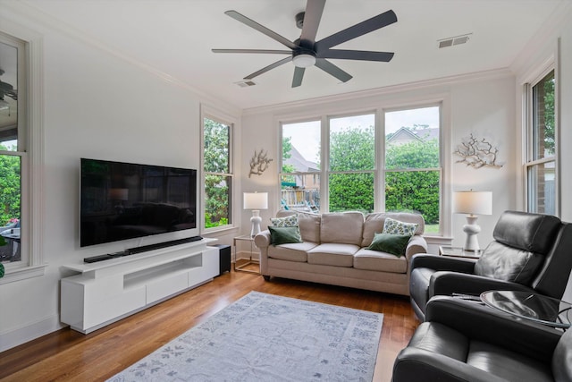 living room with ceiling fan, wood-type flooring, and crown molding