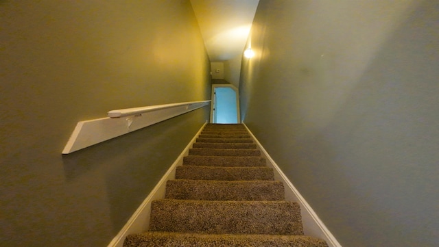 stairs featuring carpet