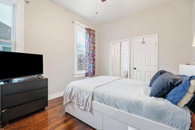 bedroom with multiple windows, dark hardwood / wood-style floors, and ceiling fan