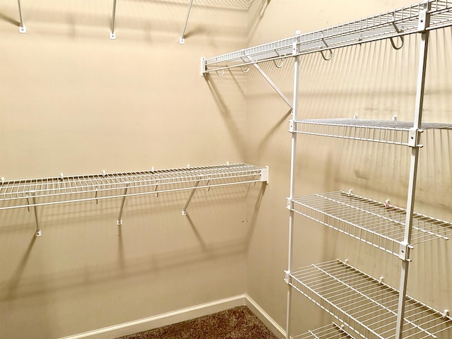 spacious closet featuring carpet flooring