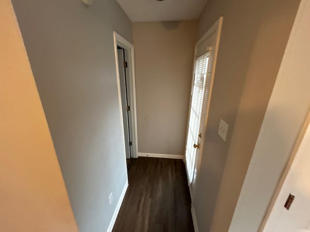 hall featuring dark hardwood / wood-style floors