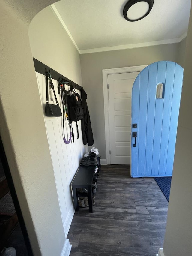 mudroom with dark hardwood / wood-style flooring and ornamental molding