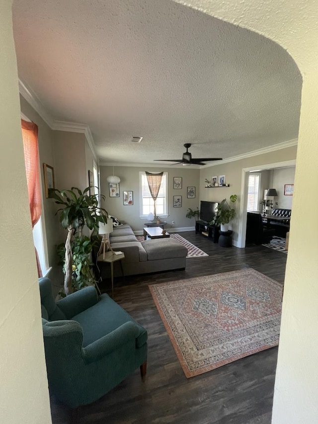 living room with a textured ceiling, crown molding, ceiling fan, and dark wood-type flooring