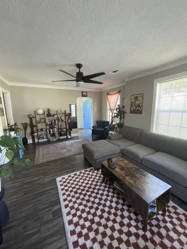 living room with dark hardwood / wood-style floors, a wealth of natural light, ornamental molding, and ceiling fan