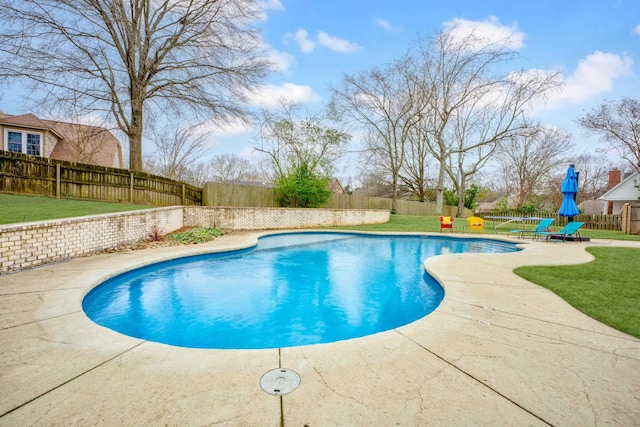 view of pool with a yard and a patio area