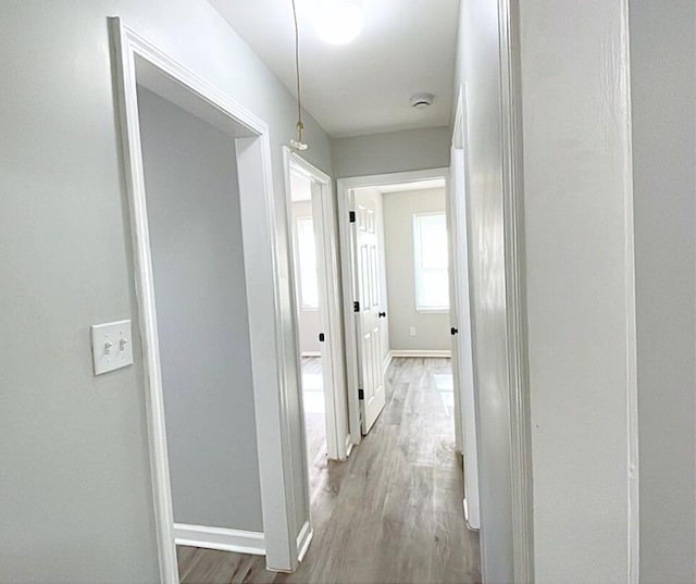 corridor with hardwood / wood-style floors