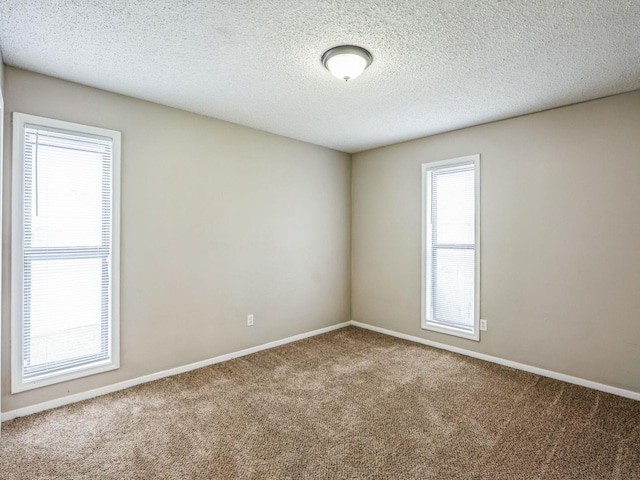 carpeted empty room featuring plenty of natural light and a textured ceiling