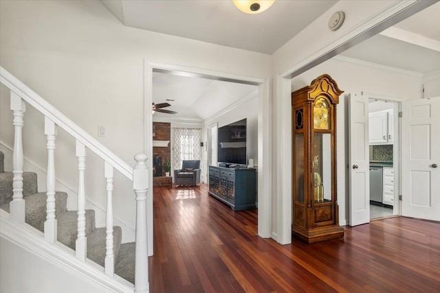 entrance foyer featuring ceiling fan and dark wood-type flooring