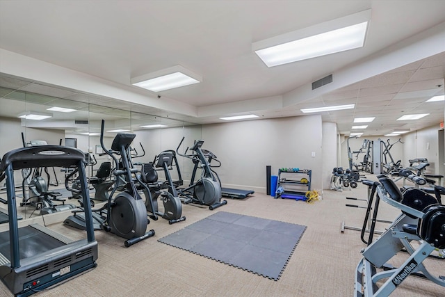 workout area featuring a paneled ceiling and light colored carpet