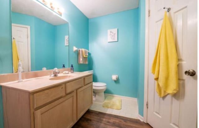 bathroom featuring vanity, toilet, and wood-type flooring