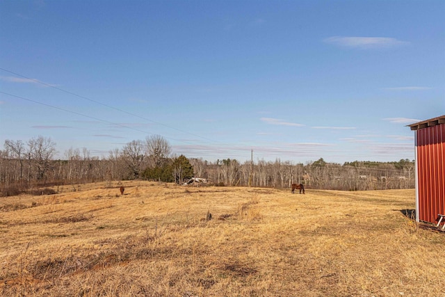 view of yard with a rural view