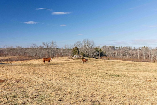 view of yard featuring a rural view