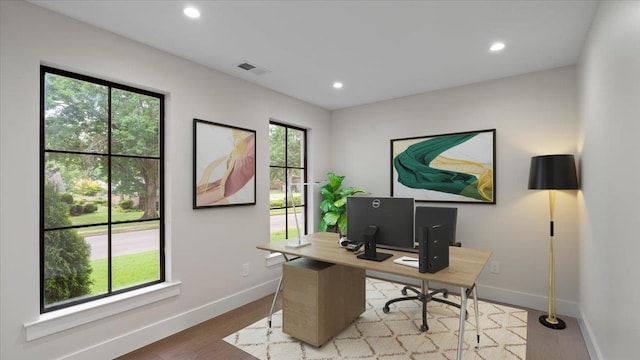 office featuring hardwood / wood-style flooring and a wealth of natural light