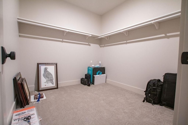 spacious closet featuring light carpet