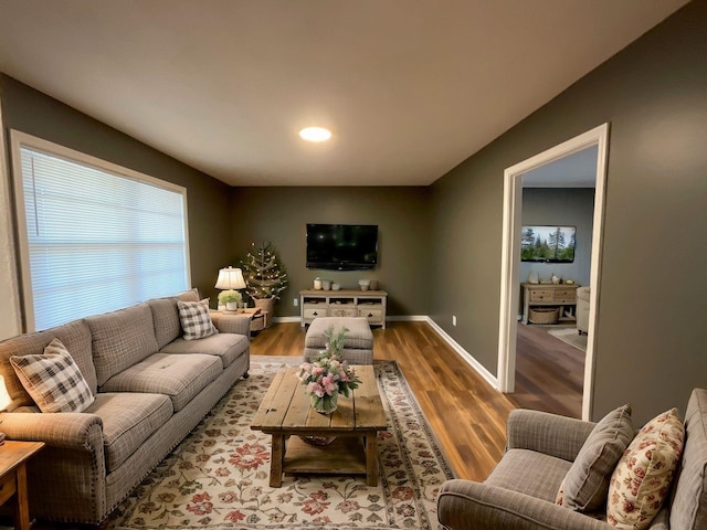 living room featuring wood-type flooring