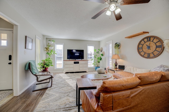 living room with wood-type flooring, a textured ceiling, and ceiling fan