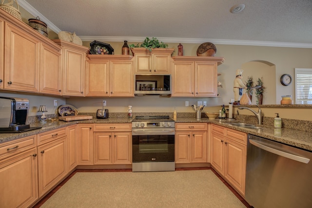 kitchen with light brown cabinetry, stainless steel appliances, ornamental molding, and sink