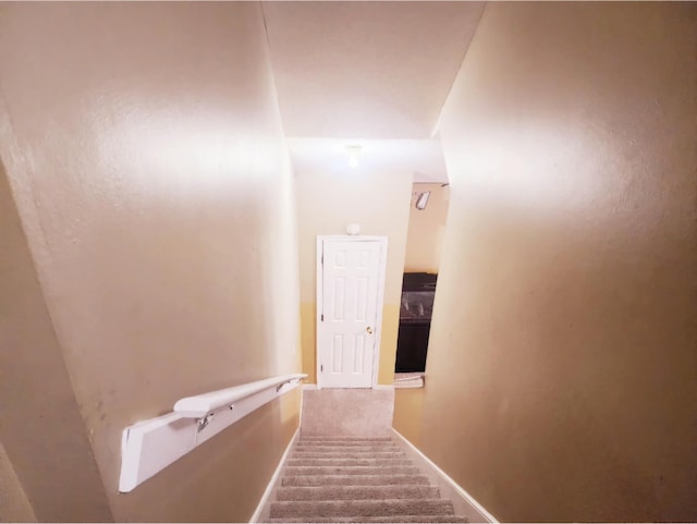 staircase featuring carpet flooring