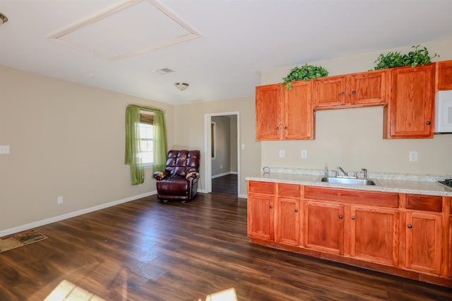 kitchen featuring sink and dark wood-type flooring