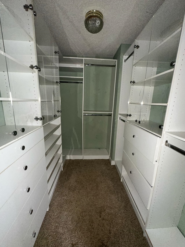 spacious closet featuring dark colored carpet