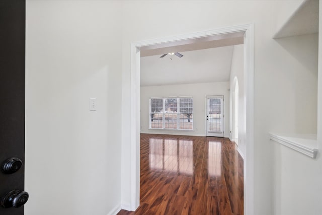 hall featuring wood-type flooring