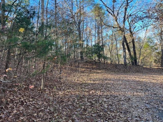 21 Dogwood Dr Unit Wr21, Middleton, TN 38052