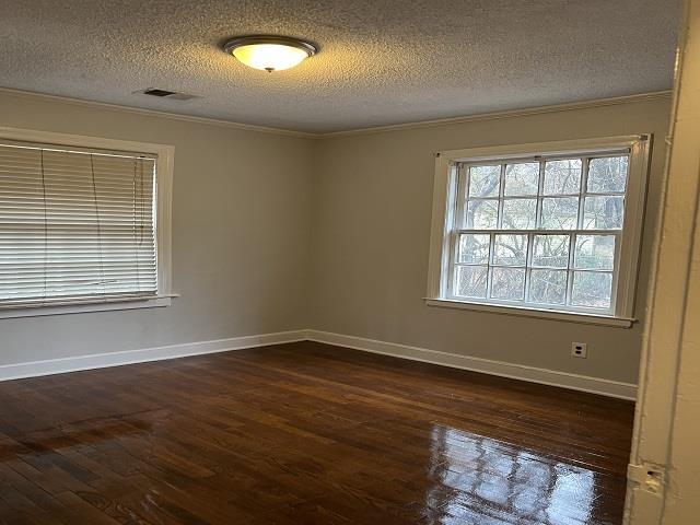 spare room featuring a textured ceiling, dark hardwood / wood-style floors, and ornamental molding