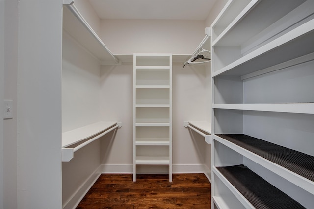 walk in closet featuring dark hardwood / wood-style floors