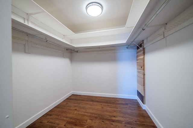 spacious closet featuring dark hardwood / wood-style flooring