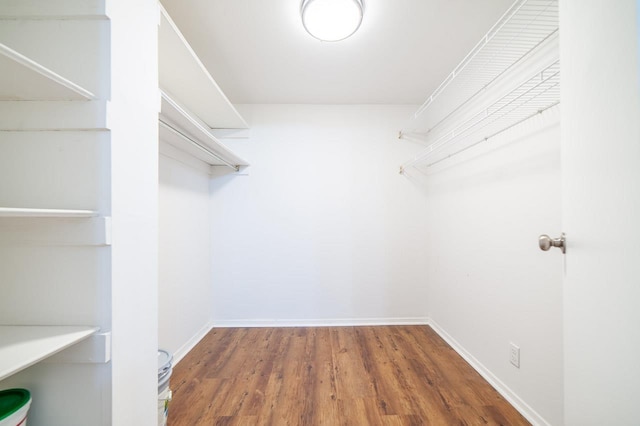 spacious closet with wood-type flooring