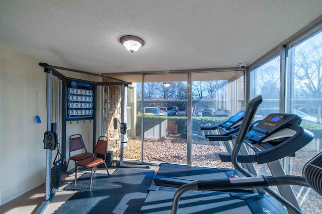 exercise room featuring expansive windows, carpet floors, and a textured ceiling