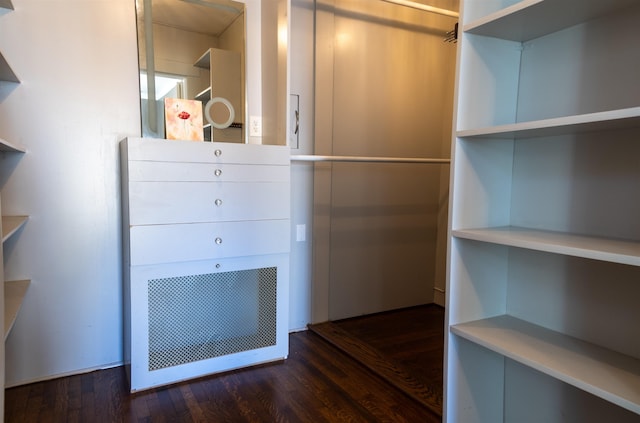 walk in closet with dark hardwood / wood-style flooring