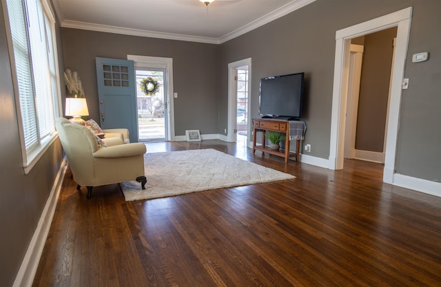 living room featuring dark wood-type flooring and crown molding