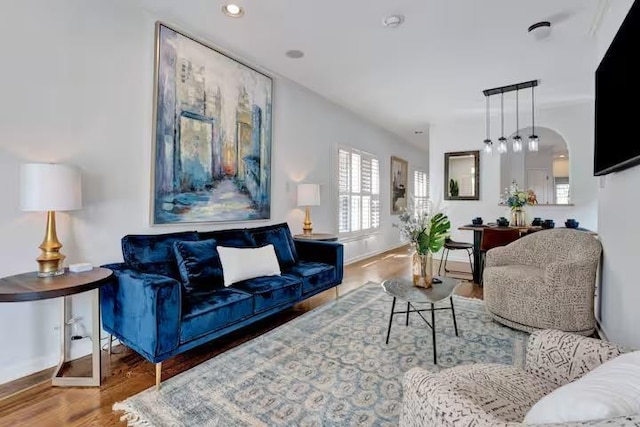 living room featuring wood-type flooring