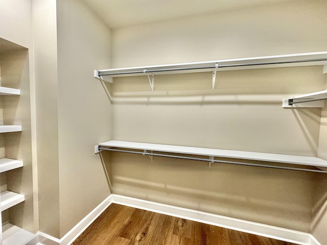 spacious closet featuring dark wood-type flooring