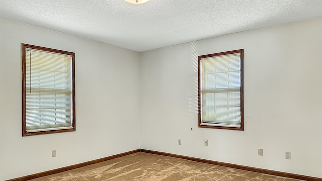 spare room featuring carpet flooring, a textured ceiling, and plenty of natural light