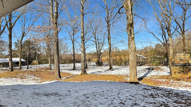 view of yard covered in snow