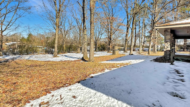 view of yard layered in snow