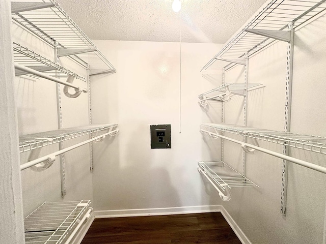 spacious closet featuring hardwood / wood-style flooring