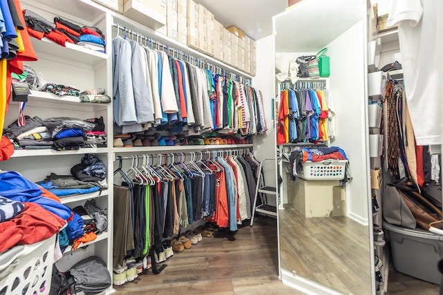 walk in closet with hardwood / wood-style flooring