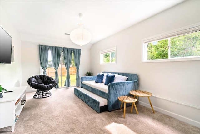 carpeted living room with a healthy amount of sunlight