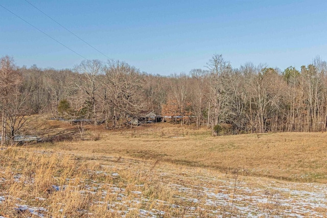 view of landscape featuring a rural view